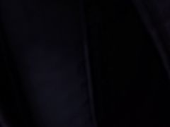 -天目山大树王景区