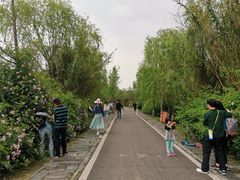 -白鹭湾湿地公园