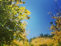 -西青郊野公园