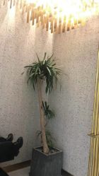 点击看大图 -3AM·S HAIR SALON烫发染发接发