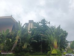 -碧桂园润杨溪谷温泉酒店