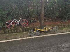 -白鹭湾湿地公园