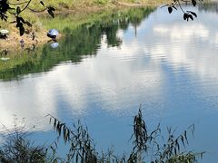 -孔雀湖生态旅游区