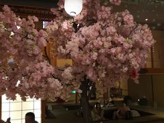 -汤泉良子(金源店)