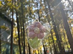 -贝紫Style(木马公寓店)