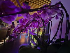 -川吧River Bar·酒吧
