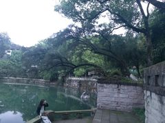 -忠山公园
