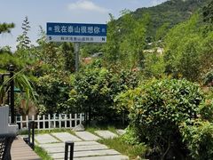 -蘇河湾·新鲁菜·泰山宴(泰山店)