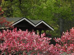 -国家植物园南园