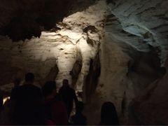 -怀托摩萤火虫洞