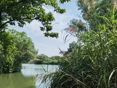 -西溪国家湿地公园