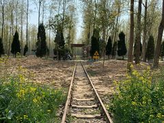 -合肥滨湖国家森林公园