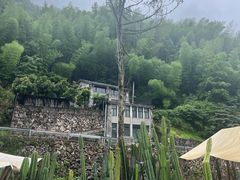 -MOJ coffee(瓯海泽雅水碓坑店)