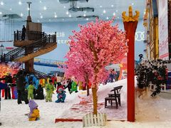-广州热雪奇迹