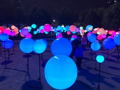 -锦江乐园舞狸花花游园会(夜场专享)