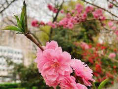 -金宫殿故址