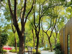 -昆山城市生态森林公园