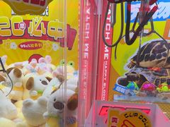 -快乐街区(成都龙湖北城天街店)