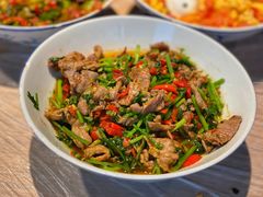 香菜炒牛肉-壹盏灯(蚂蚁工房店)