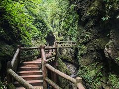 -青城山
