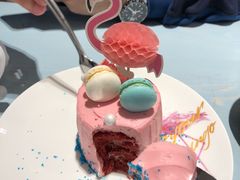 火烈鸟-随心小姐