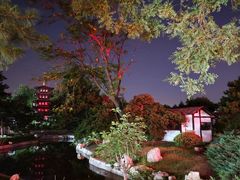 -北京世界公园