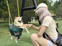 -爪吧宠物乐园 (温榆河示范区店)