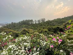 -小南山公园