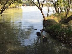 -长兴太湖图影湿地文化园