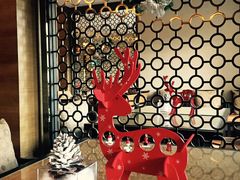 -上海崇明金茂凯悦酒店