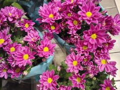 -大润发(花都店)