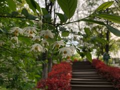 -南京老山国家森林公园