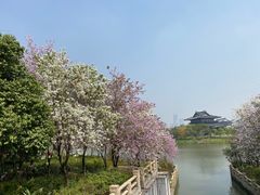 -海珠湖公园