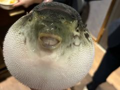 -鲐赏河豚(长寿店)