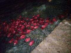 -厦门日月谷温泉渡假村