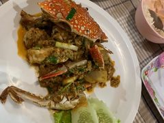 -Jungle Kitchen