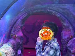 -沈阳海洋探索中心