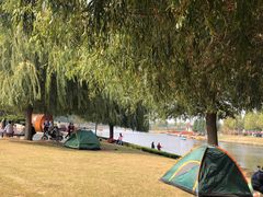 -羊亭河湿地公园