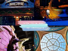 -哈尔滨波塞冬海底世界