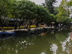 -富乐山