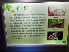 -上海昆虫博物馆