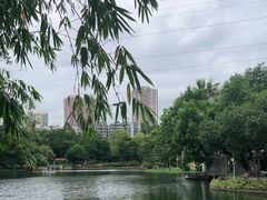 -晓港公园
