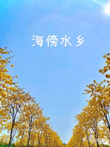 春暖花开正当时，初春里的一抹蓝，遛娃绝佳选择
