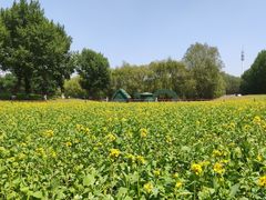 -长白岛森林公园