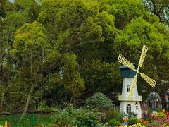 -上海共青森林公园