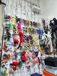 -金麦兜儿童摄影(新星绿城店)