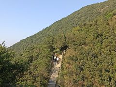 -梧桐山风景名胜区