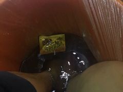 -尊江月推拿足道(周浦店)