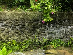 -广州神农草堂中医药博物馆