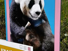 -栾川竹海野生动物园